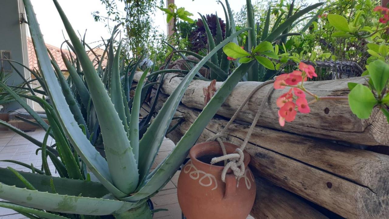 Villa Wonderful Spot To Recharge Kalamata Exterior foto